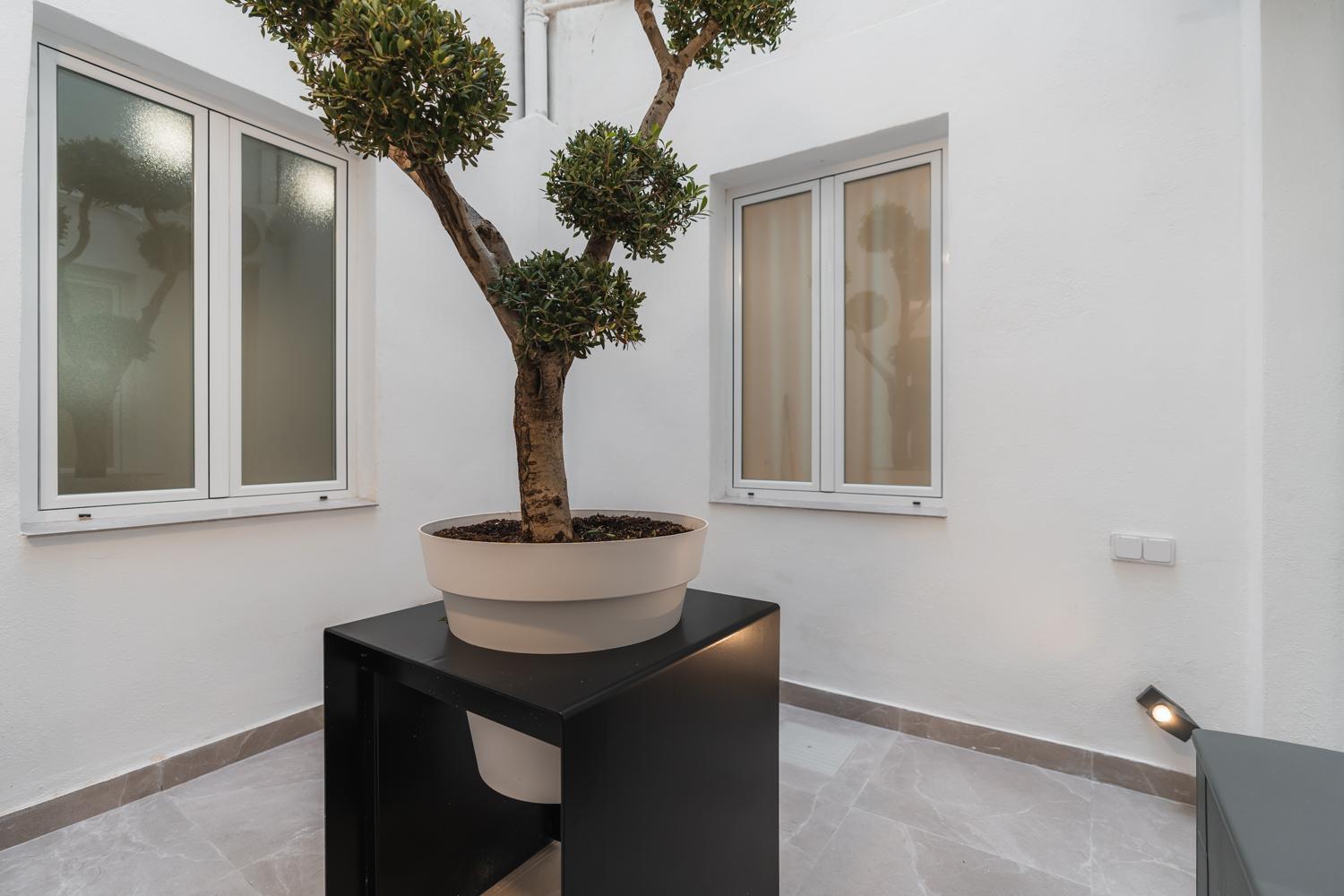 Tuguest Buensuceso Apartment Granada Exteriér fotografie